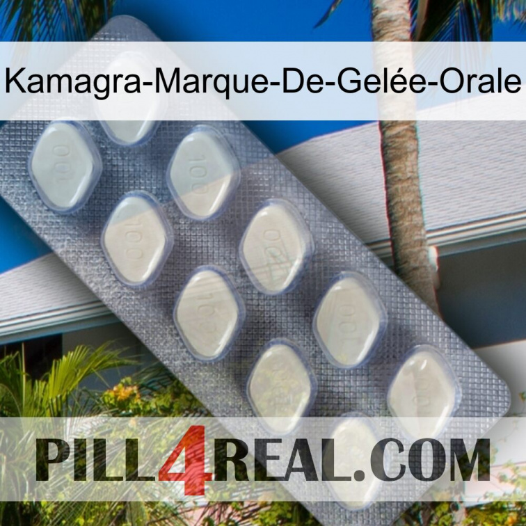 Kamagra-Marque-De-Gelée-Orale 08